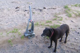 Disgarded vaccum Cleaner