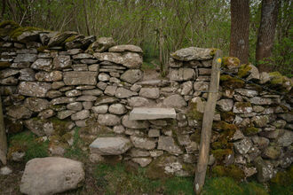 A dry stone wall containing steps up to a gap in the wall with trees in the background.