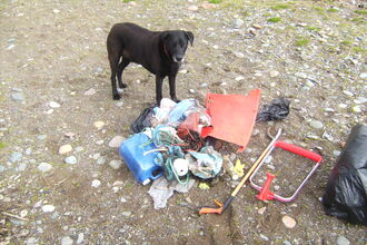 Dog posing with bags of collected rubbish