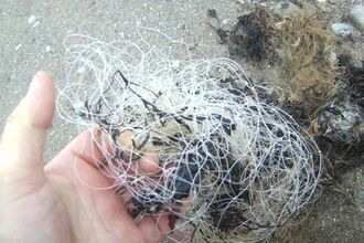 The ubiquitous fishing line