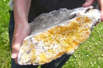 Big chunk of Palm Oil