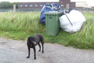 Days spoils piles by the side of the road