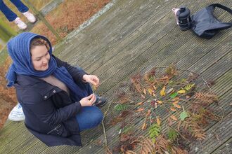 a woman creating some art out of natural materials on nature reserve boardwalk