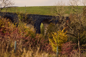 A landscape photo of a viaduct with shrubs and trees in front and a hill behind. 