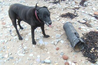 Large plastic drainage pipe on the beach