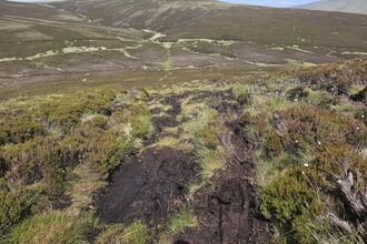 View of Skiddaw Forest nature reserve with damaged peatland in foreground