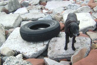 Yet another car tyre washed up on the beach