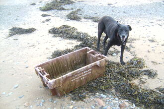 Large plastic fishing Trawler crate washed up