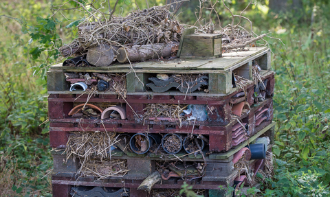 How to make a bug home