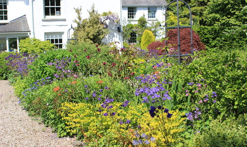 Plumgarths office and wildlife garden