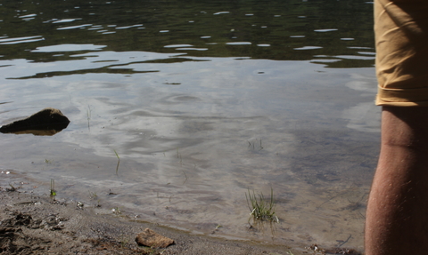 flood water with a person in foreground