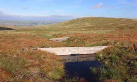 Landscape view of Tebay Common