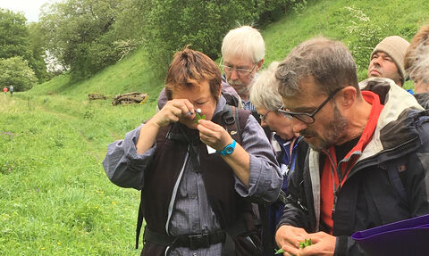 Image of volunteers updating their plant ID skills at a training course at Newbiggin-on-Lune
