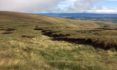 Peatland damage at Bampton Common