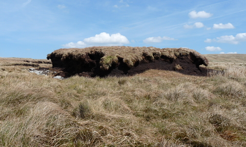 Borrowdale Moss peat hag