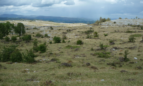 Whitbarrow looking NE 04/06/2020 by Peter and Sylvia Woodhead