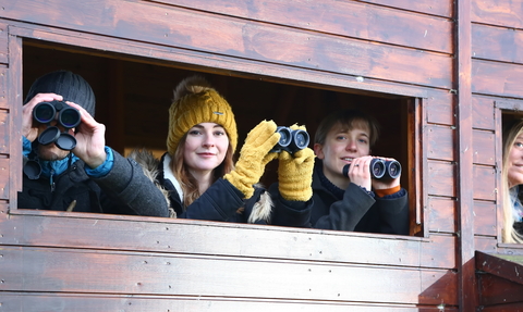 Four people sitting inside a wooden hide, holding binoculars