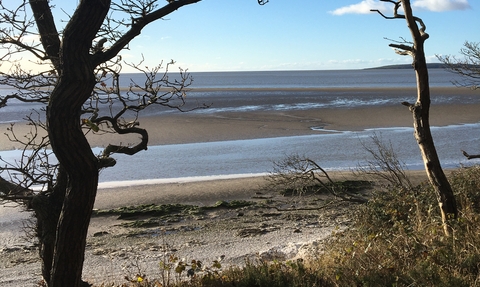 Arnside Knott coast. Credit Judith Wallen