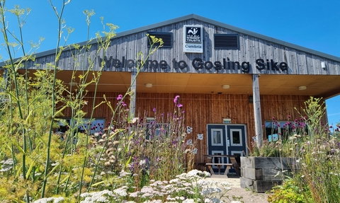Gosling Sike building and wildlife garden