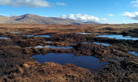 armboth fell peatland restoration 