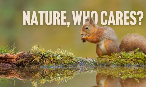 Nature who cares - web page banner General Election 2024
