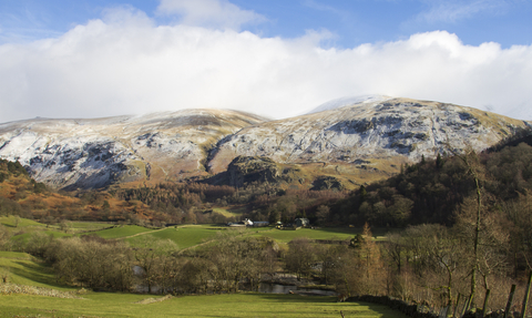 Photo of a field with a line of trees horizontally, and fells in the background