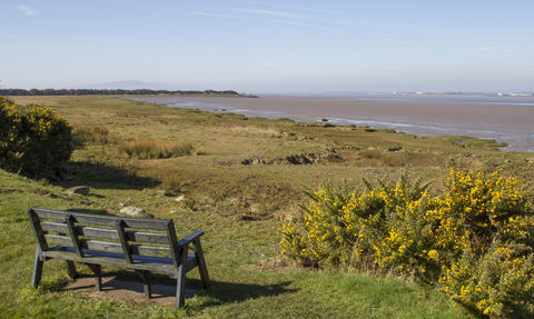 Photo of a bench overlooking an estuary