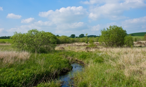 Photo of river in the middle of a field with long grass. The sky is blue