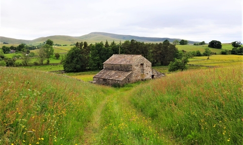 Bowber Head Nature Reserve