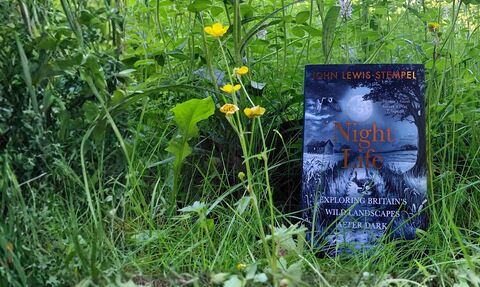 Photo of 'Night Life' book by John Lewis-Stempel