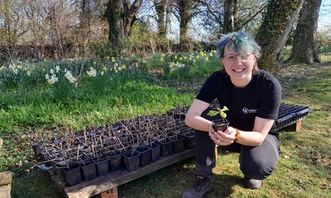 A smiling staff member holding a tree sapling and crouching down next to a row of tree saplings in pots.