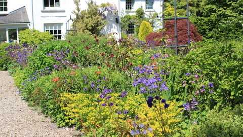 Plumgarths office and wildlife garden