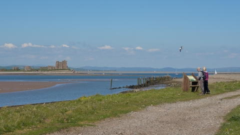 South walney nature reserve and piel castle with people looking at wildlife interpretation board - copyright john morission