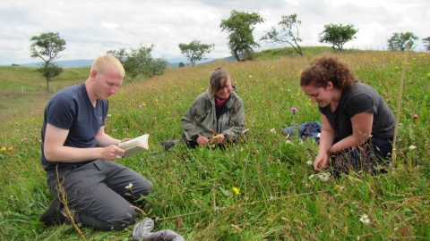 Image of Eycott Hill Nature Reserve Coronation Meadow survey with Louise Richards and volunteers
