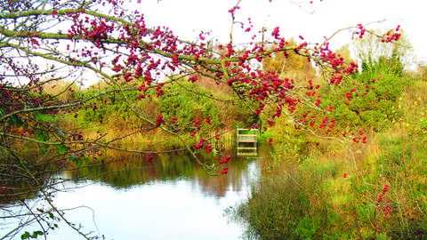 Bowness on solway landscape