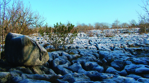 image of limestone pavement hutton roof crags nature reserve