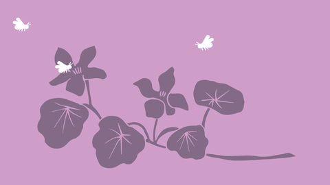 How to plant flowers for bumblebees