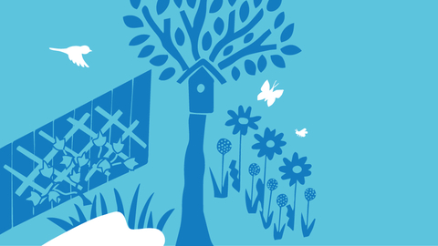 How to make a new build garden for wildlife