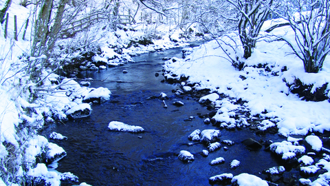 The beck at argill woods in winter snow