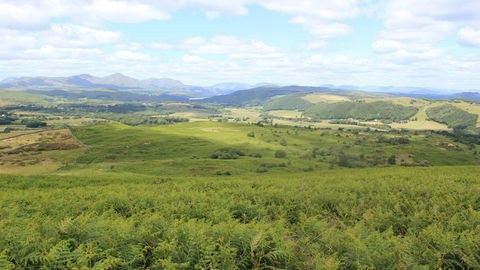 Image of Lowick Common, Cumbria Wildlife Trust new nature reserve