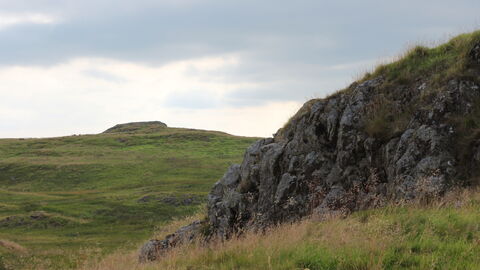 Eycott Hill Nature Reserve