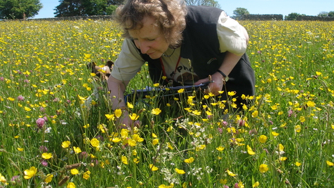 Meadow Surveying in Ravenstonedale