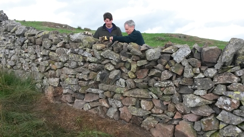 Volunteers drystone walling at Eycott Hill Nature Reserve