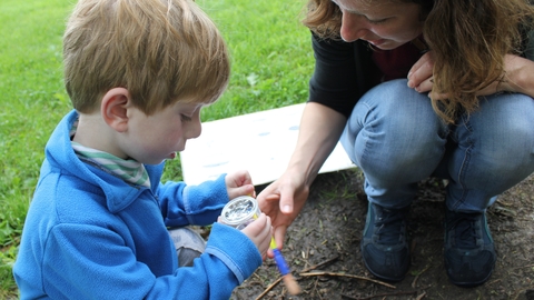 Bug hunt © Misty Hutton