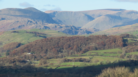 Craggy Wood - Staveley woodlands