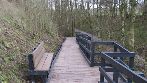 New board walk trees and bench at Smardale