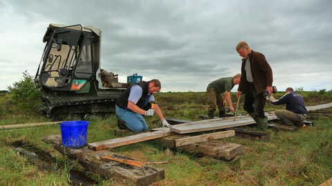 Image of volunteers building Drumburgh boardwalk