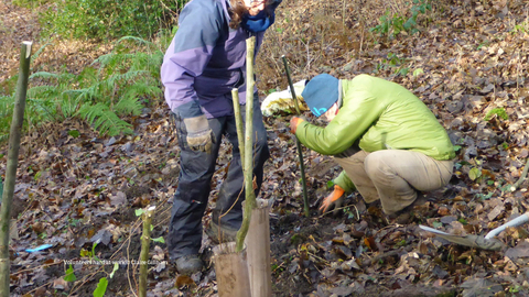 Staveley-Woodlands-volunteers