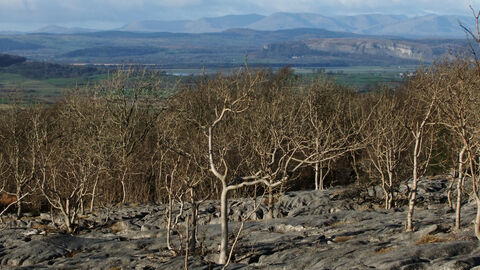 Hutton_Roof_Crags