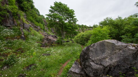 Clints Quarry 2013